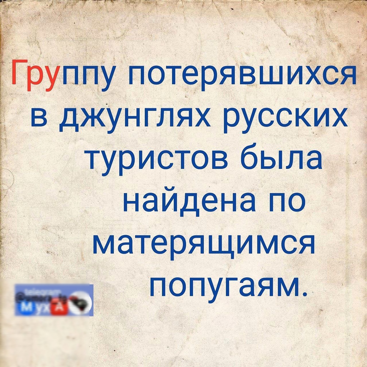 Группу потерявших в джунглях русских туристов была найдена по матерящимся т попугаям