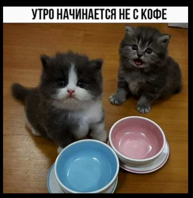 УТРО НАЧИНАЕТСЯ НЕ С КОФЕ _