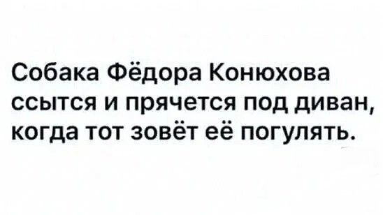 Собака Фёдора Конюхова ссытся и прячется под диван когда тот зовёт её погулять