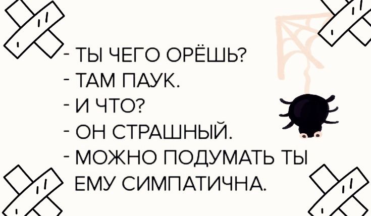 ы ТЫ ЧЕГО ОРЁШЬ ТАМ ПАУК И ЧТО ОН СТРАШНЫЙ ы МОЖНО ПОДУМАТЬ ТЫ ЕМУ СИМПАТИЧНА