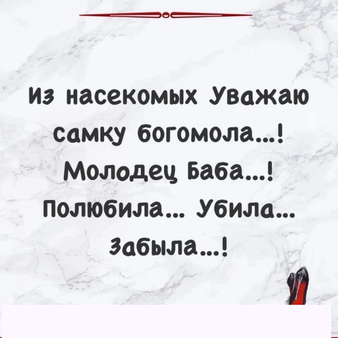 из насекомых Уважаю самку богомола Молодец Баба Полюбила Убила Забыла