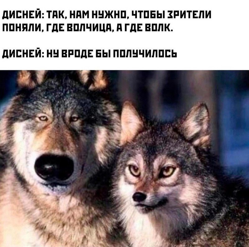 ДИСНЕЙ ТАК НАМ НУЖНО ЧТОБЫ ЗРИТЕЛИ ПОНЯЛИ ГДЕ ВОЛЧИЦА А ГДЕ ВОЛК ДИСНЕЙ НЧ ВРОДЕ БЫ ПОЛУЧИЛОСЬ
