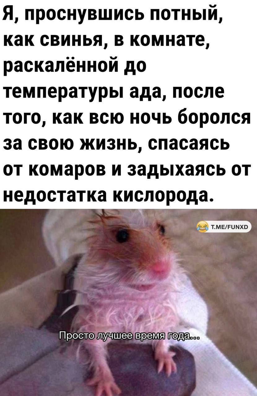 Я проснувшись потный как свинья в комнате раскалённой до температуры ада после того как всю ночь бОРОПСЯ за свою жизнь спасаясь от комаров и задыхаясь от недостатка кислорода 2 тМЕРИМКО Простойуншееврем