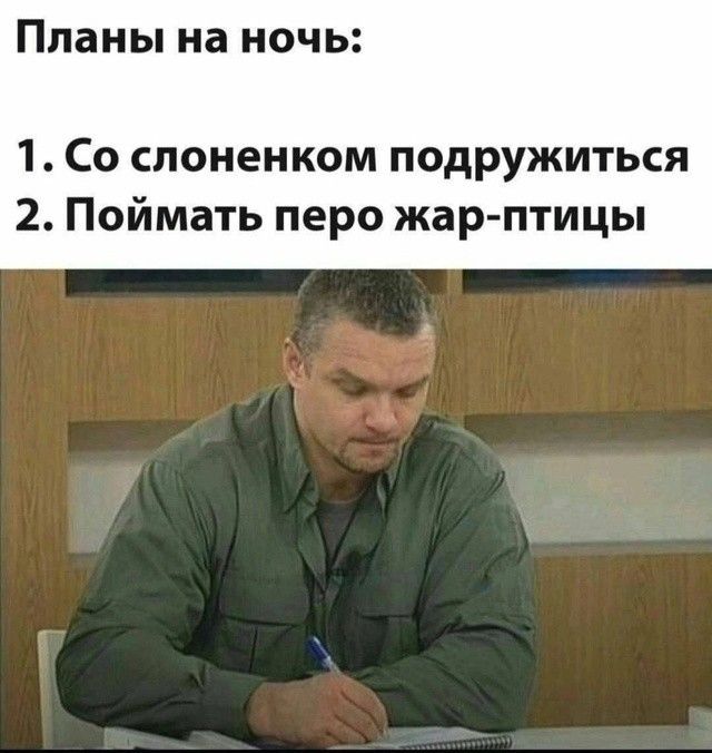 Планы на ночь 1 Со слоненком подружиться 2 Поймать перо жар птицы