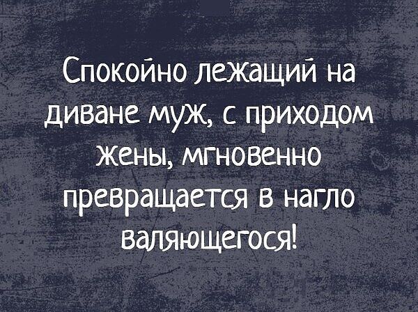 Спокойно лежащий на диване муж с приходом жены мгновенно превращается в нагло валяющегося