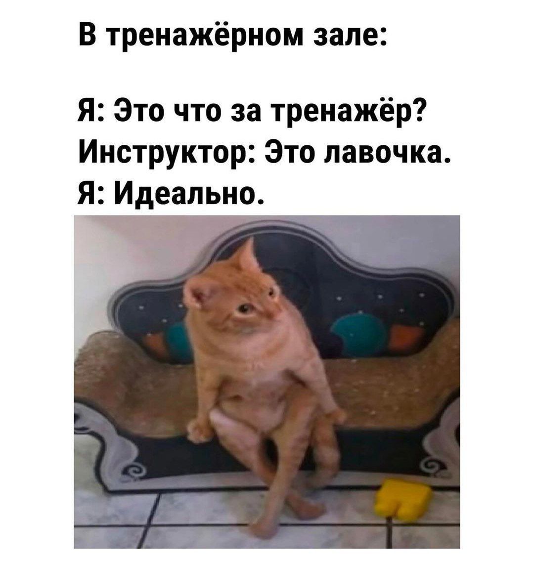 В тренажёрном зале Я Это что за тренажёр Инструктор Это лавочка Я Идеально
