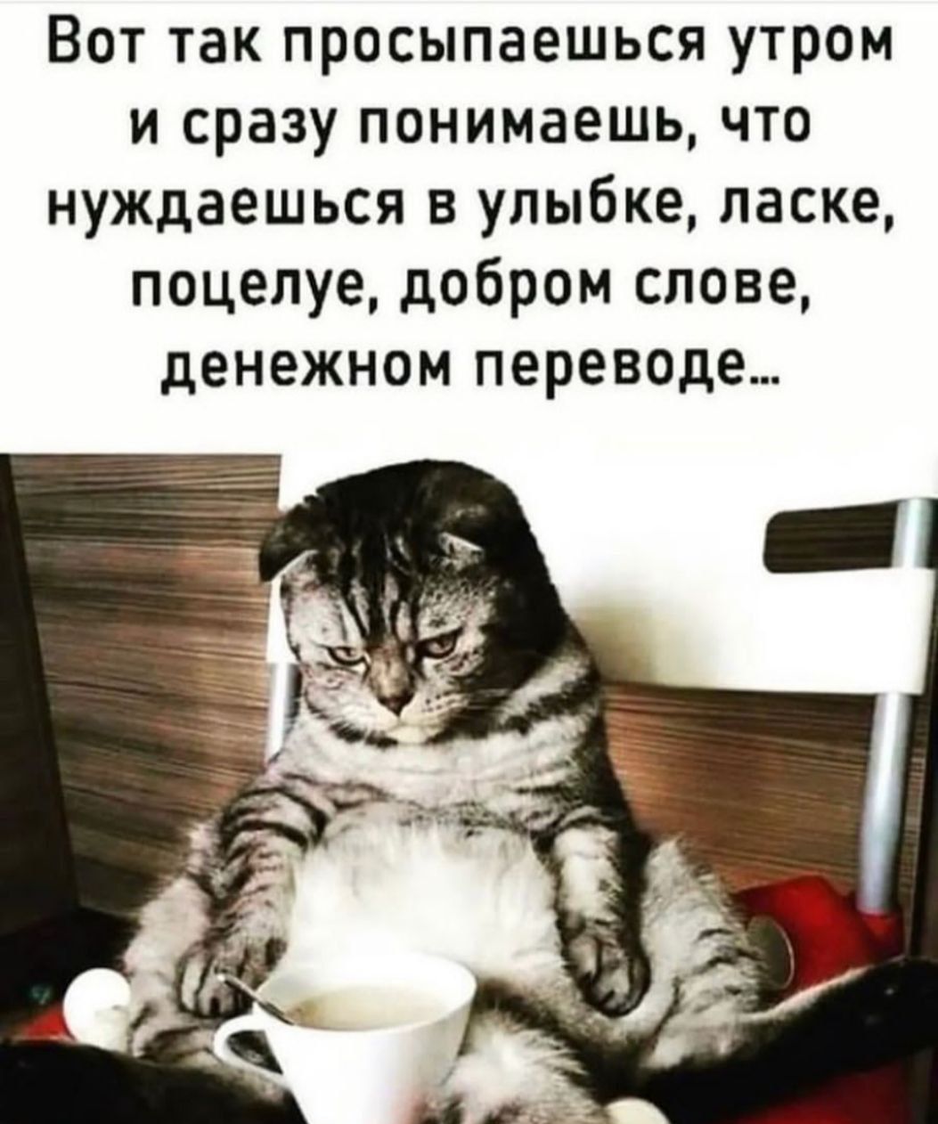 Вот так просыпаешься утром и сразу понимаешь что нуждаешься в улыбке ласке поцелуе добром слове денежном переводе