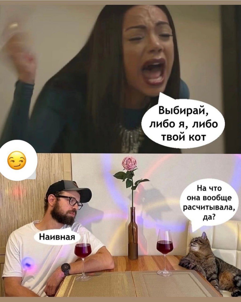 Выбирай либо я либо твой кот На что она вообще расчитывала да Наивная