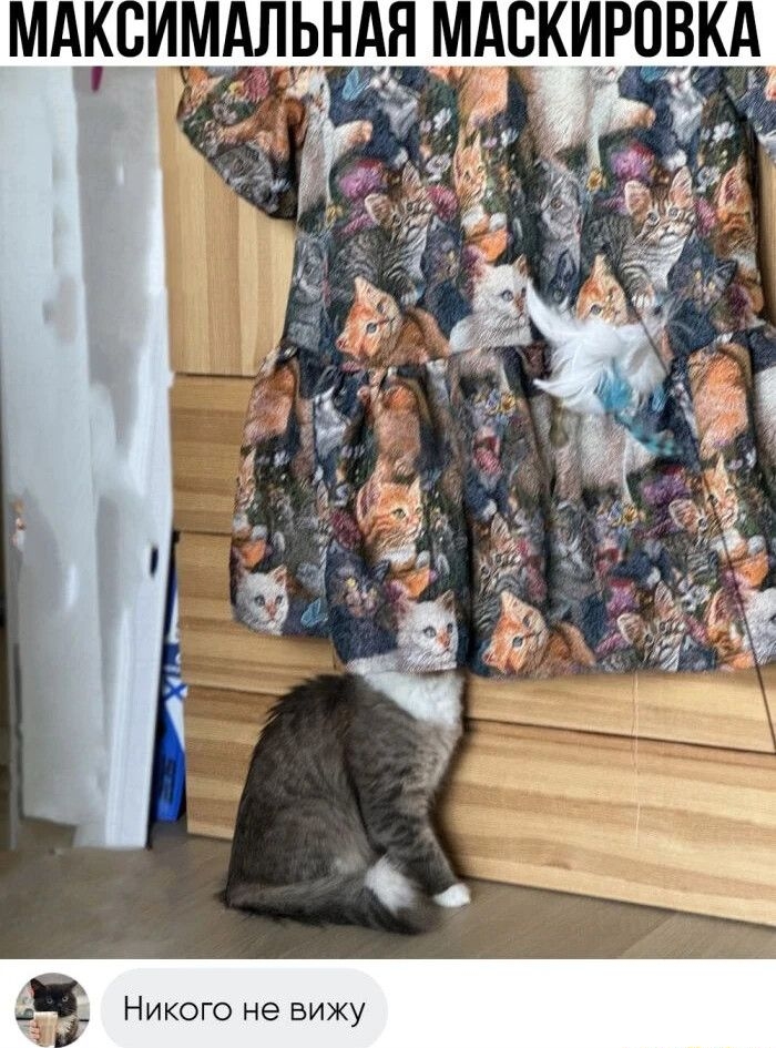 Никого не вижу ее