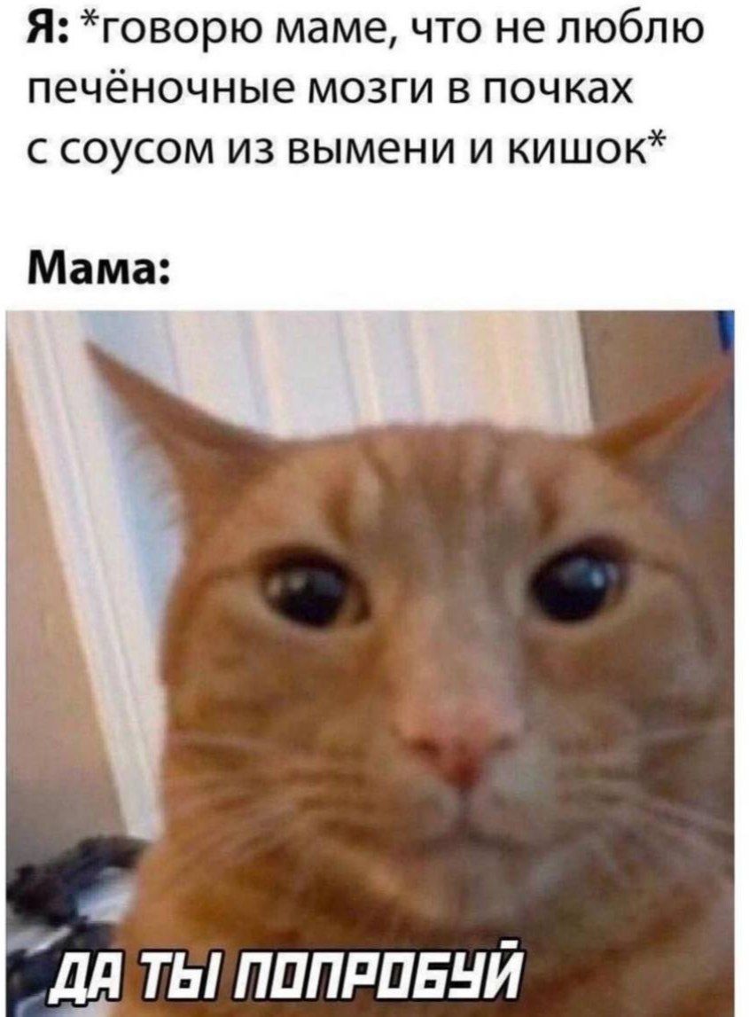 Я говорю маме что не люблю печёночные мозги в почках с соусом из вымени и кишок Мама ДЯ ТЫПОПРОБУЙ
