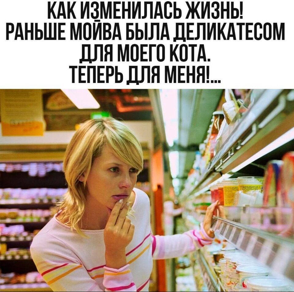 КАК ИЗМЕНИЛАСЬ ЖИЗНЫ РАНЬШЕ МОЙВА БЫЛА ДЕЛИКАТЕСОМ ДЛЯ МОЕГО КОТА ТЕПЕРЬ ДЛЯ МЕНЯ
