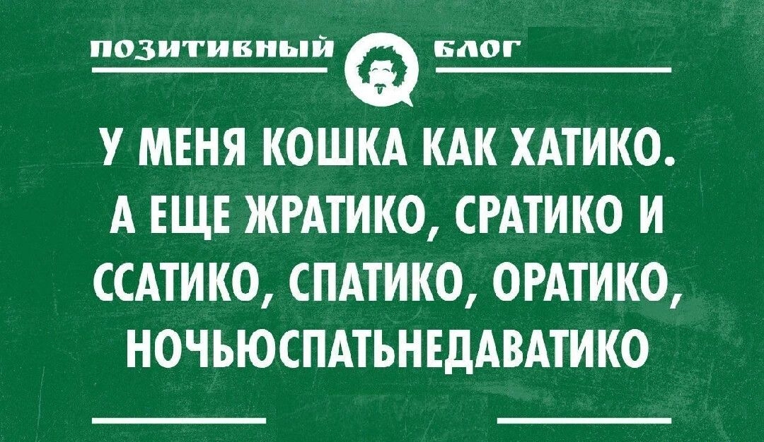 позитикный вБлог У МЕНЯ КОШКА КАК ХАТИКО А ЕЩЕ ЖРАТИКО СРАТИКО И ССАТИКО СПАТИКО ОРАТИКО НОЧЬЮ СПАТЬНЕДАВАТИКО