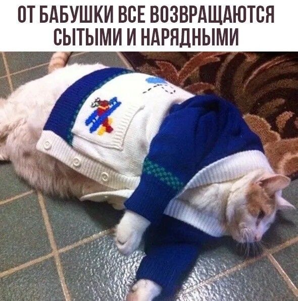 ОТБАБУШКИ ВСЕ ВОЗВРАЩАЮТСЯ СЫТЫМИ И НАРЯДНЫМИ