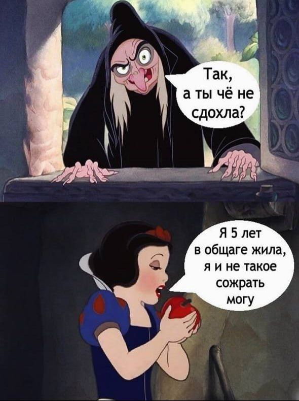 аты чёне сдохла Я 5 лет в общаге жила яине такое сожрать