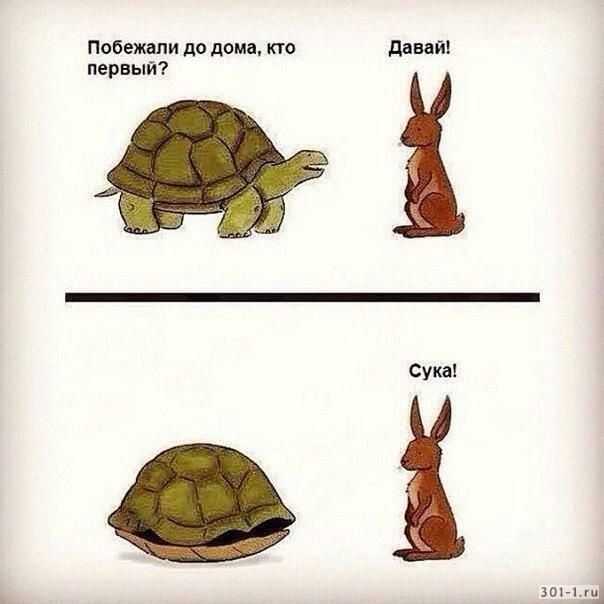 Побежали до дома кто Давай первый сука зоз 1ый