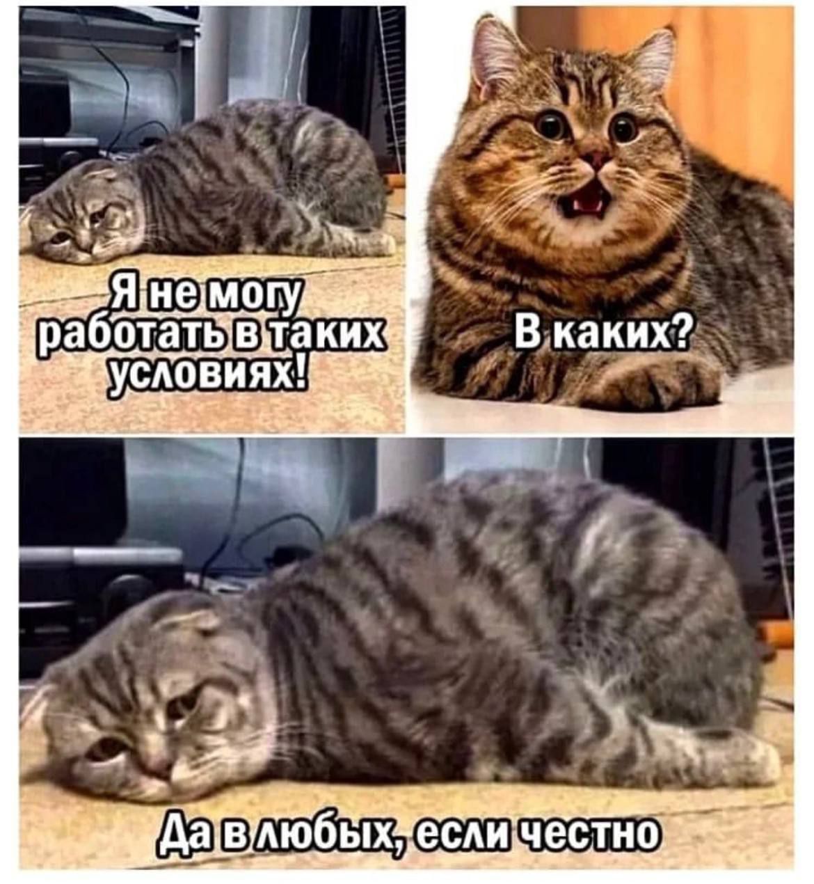 работатывутаких условиях