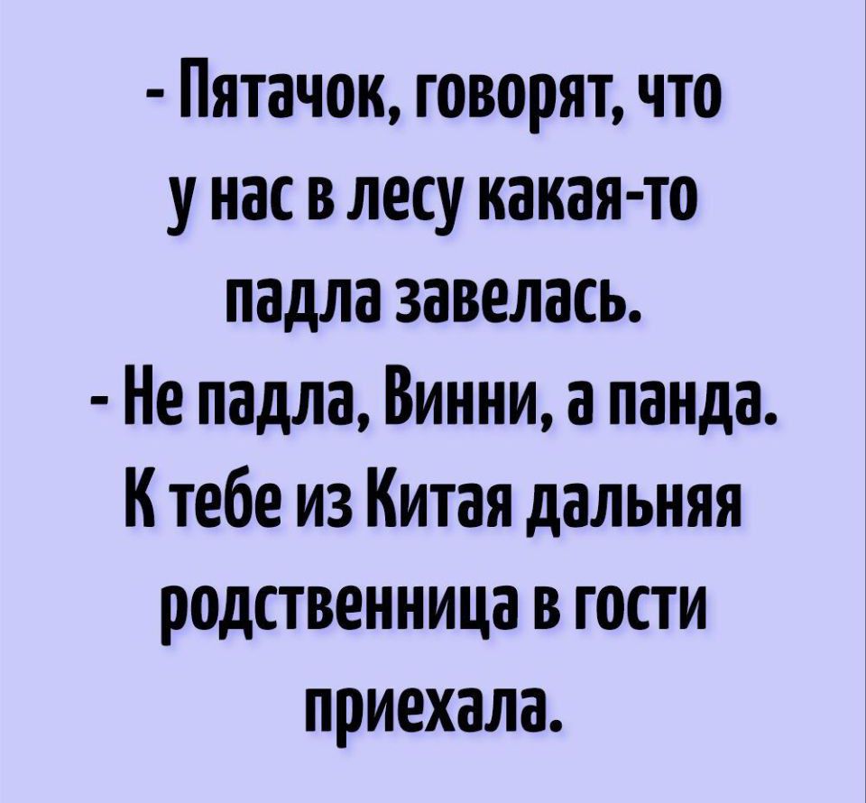 Пятачок говорят что унас в лесу какая то падла завелась Не падла Винни а панда Ктебе из Китая дальняя родственница в гости приехала