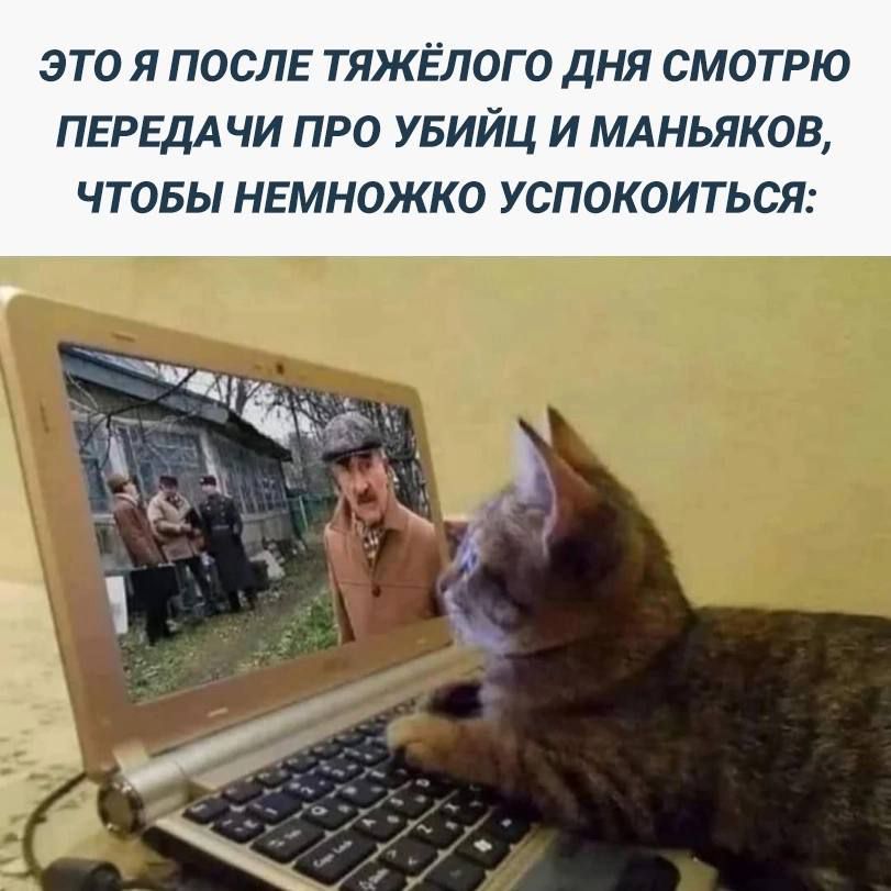 ЭТО Я ПОСЛЕ ТЯЖЁЛОГО ДНЯ СМОТРЮ ПЕРЕДАЧИ ПРО УБИЙЦ И МАНЬЯКОВ ЧТОБЫ НЕМНОЖКО УСПОКОИТЬСЯ