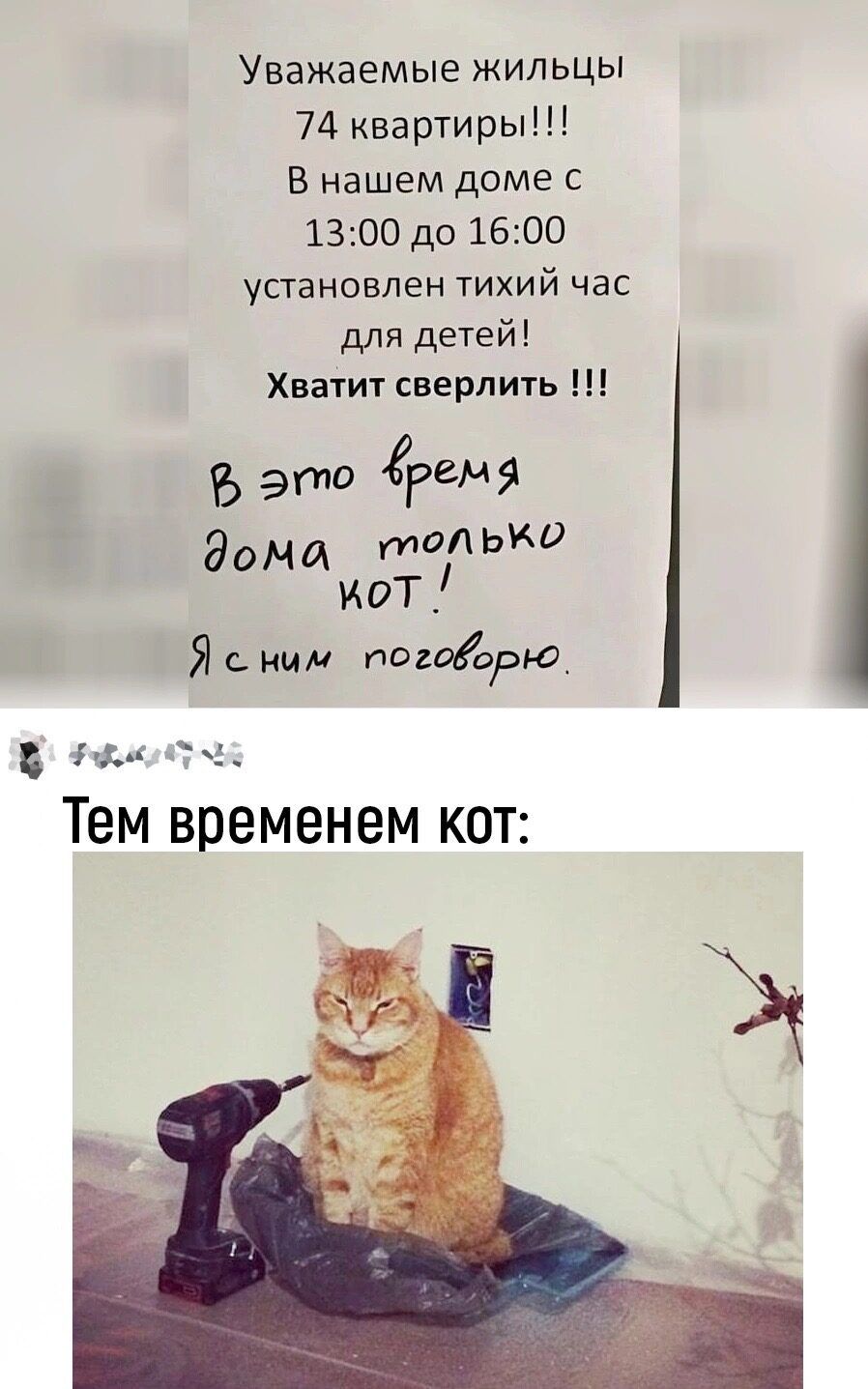 Уважаемые жильцы 74 квартиры В нашем доме с 1300 до 1600 установлен тихий час для детей Хватит сверлить ф это гггмя дома_ топько кот Я сним попвдлдрю_ пча Тем временем кот