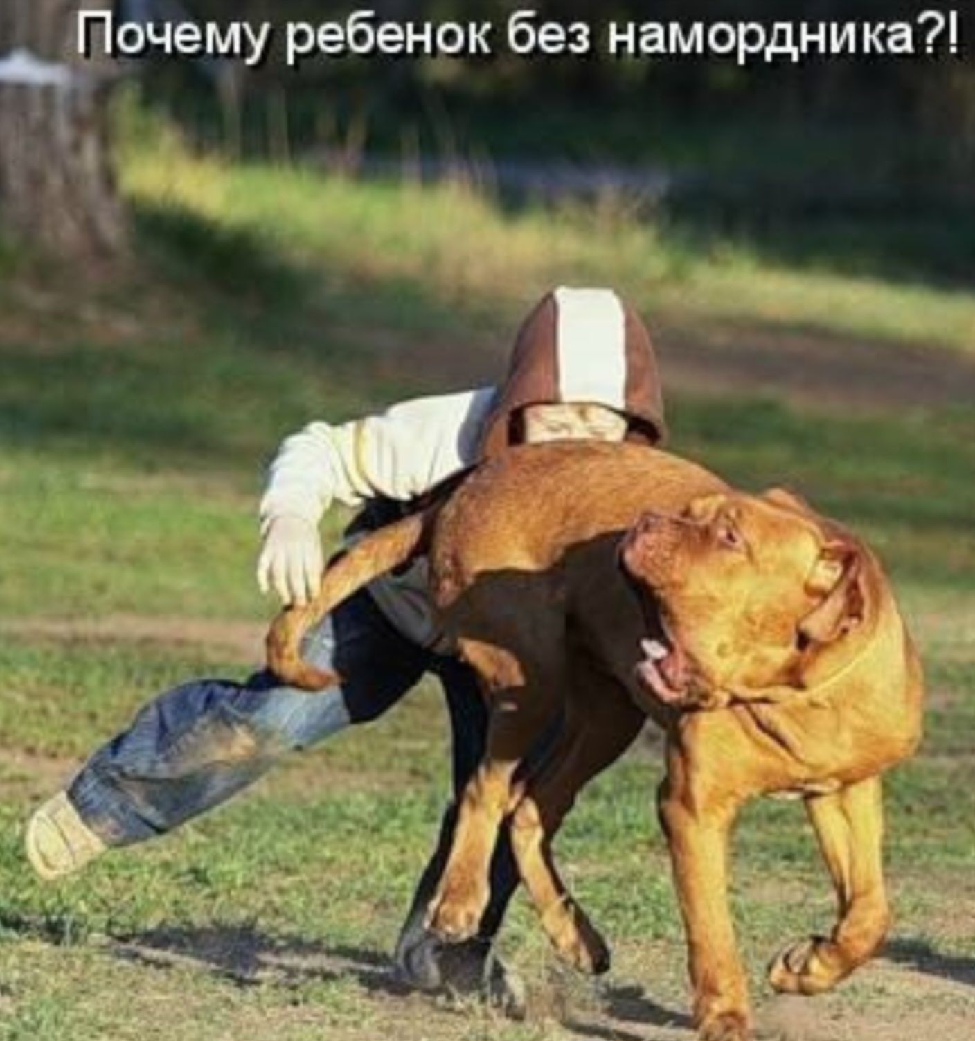 дем_іу ребенок без намордника