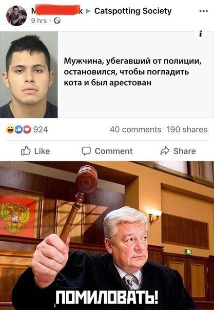 М К Са5ропа 5остету оъ Мужчина убегавший от полиции остановился чтобы погладить кота и был арестован 40 соттеп5 190 5Пагес Соттеп 2 5Баге ь ПОМИЛОВАТЬ