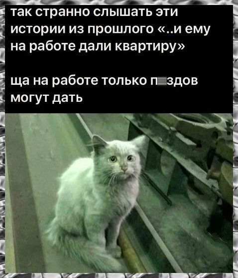 так странно слышать эти истории из прошлого и ему на работе дали квартиру ща на работе только пиздов могут дать