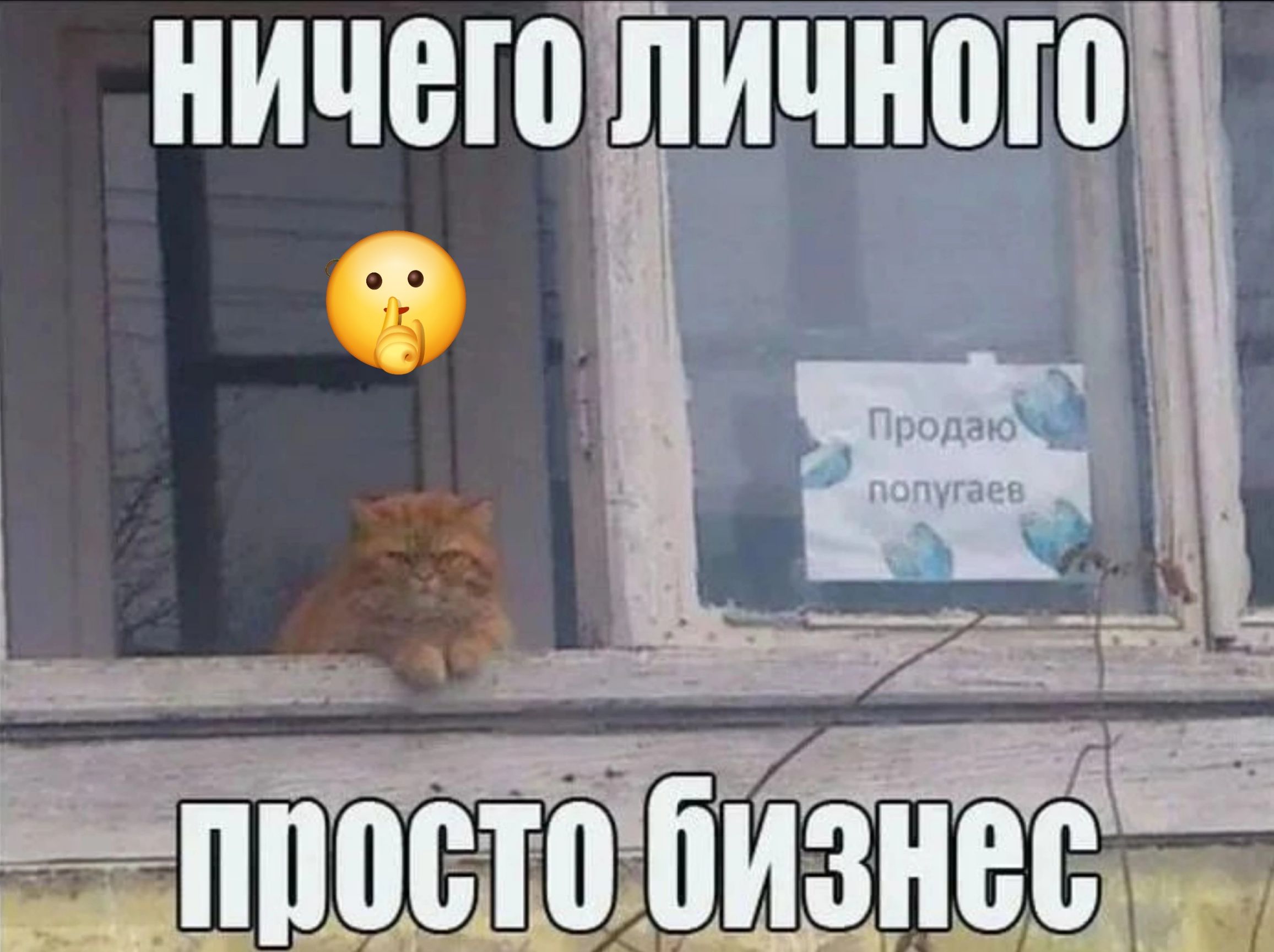 Еппостоб зне_