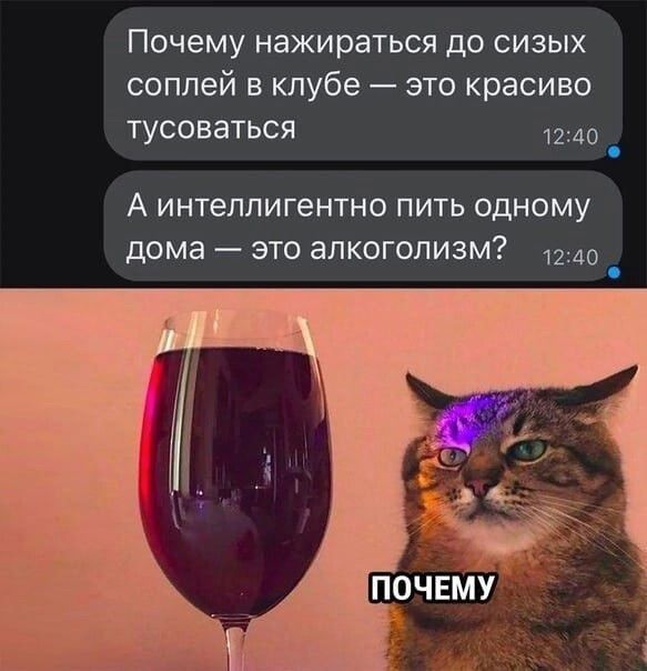 Почему нажираться до сизых соплей в клубе это красиво тусоваться 1240 5 А интеллигентно пить одному дома это алкоголизм 1240 Ч