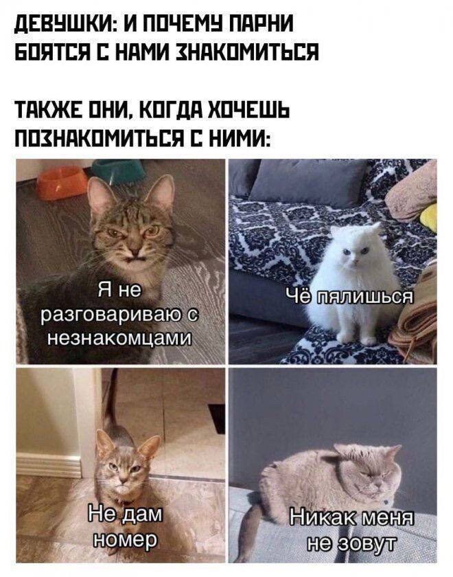 ДЕВУШКИ И ПОЧЕМУ ПАРНИ БПЯТСЯ С НАМИ ХНАКОМИТЬСЯ ТАКЖЕ ОНИ КОГДА ХОЧЕШЬ ПОХНАКОМИТЬСЯ С НИМИ разговариваю незнакомцами