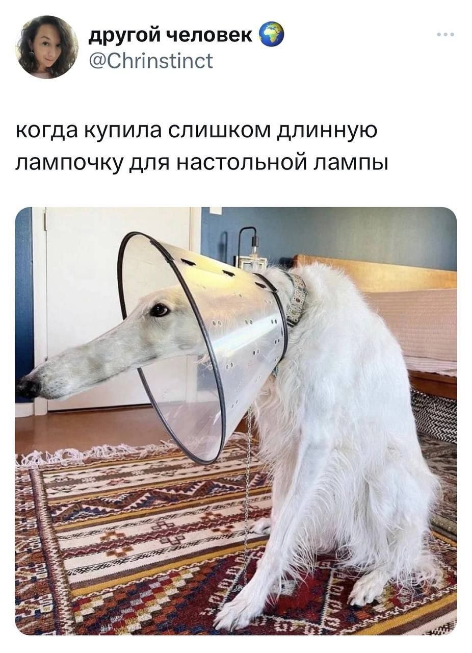 другой человек СЬип5Нпсё когда купила слишком длинную лампочку для настольной лампы