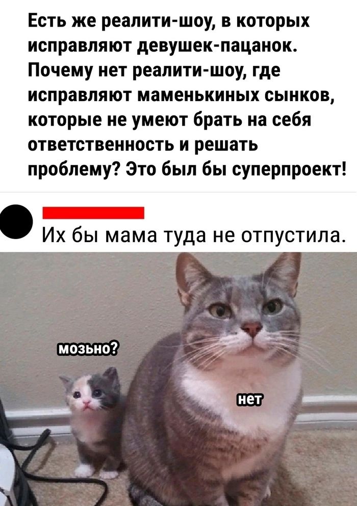 Есть же реалити шоу в которых исправляют девушек пацанок Почему нет реалити шоу где исправляют маменькиных сынков которые не умеют брать на себя ответственность и решать проблему Это был бы суперпроект П Их бы мама туда не отпустила