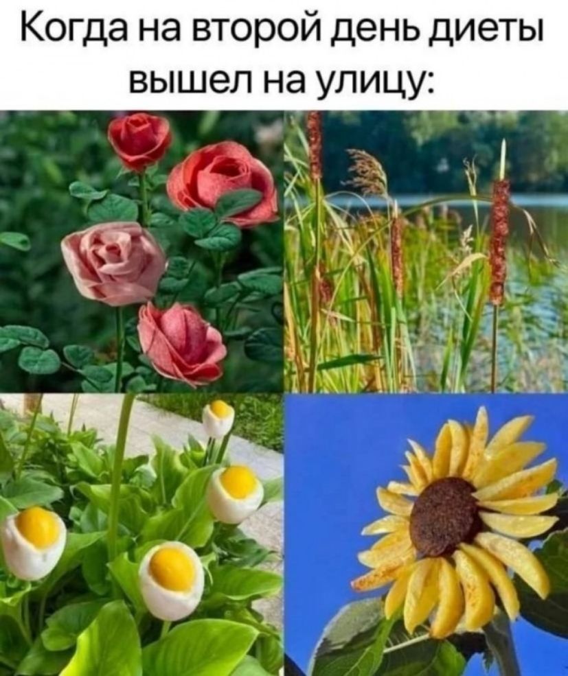 огда на второй день диеты вышел на улицу
