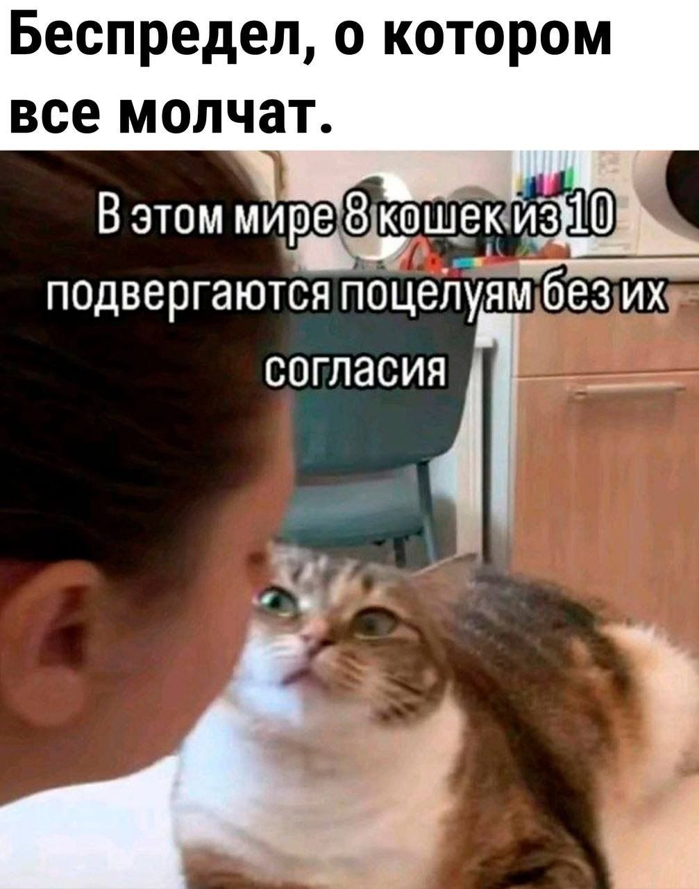 Беспредел о котором все молчат В этом мире Вікош_еэ К920 подвергаются поцелуямбезихф согласия