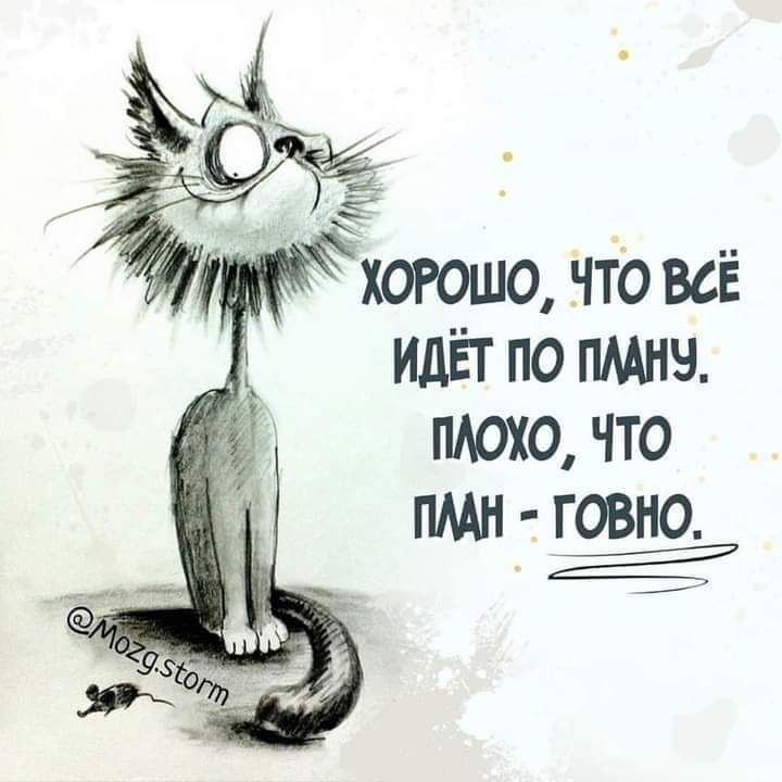 ХОРОШО ЧТО ВСЁ ИДЁТ ПО ПЛАНУ ПЛОХО ЧТО ПЛАН ГОВНО Е