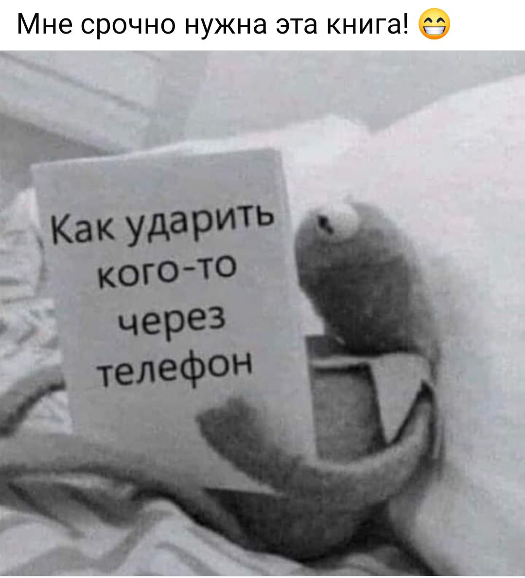 Мне срочно нужна эта книга 5 Ва Как ударить кого то заиЧерез телефон