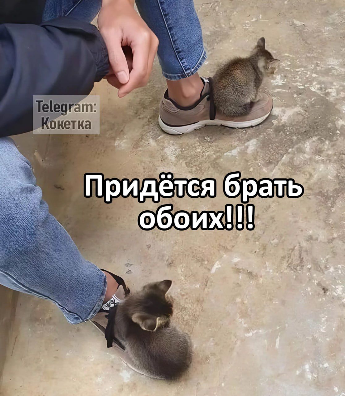 Теедгагт ЗКонетка