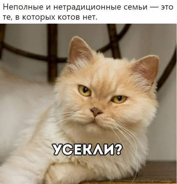 Неполные и нетрадиционные семьи те в которых котов не