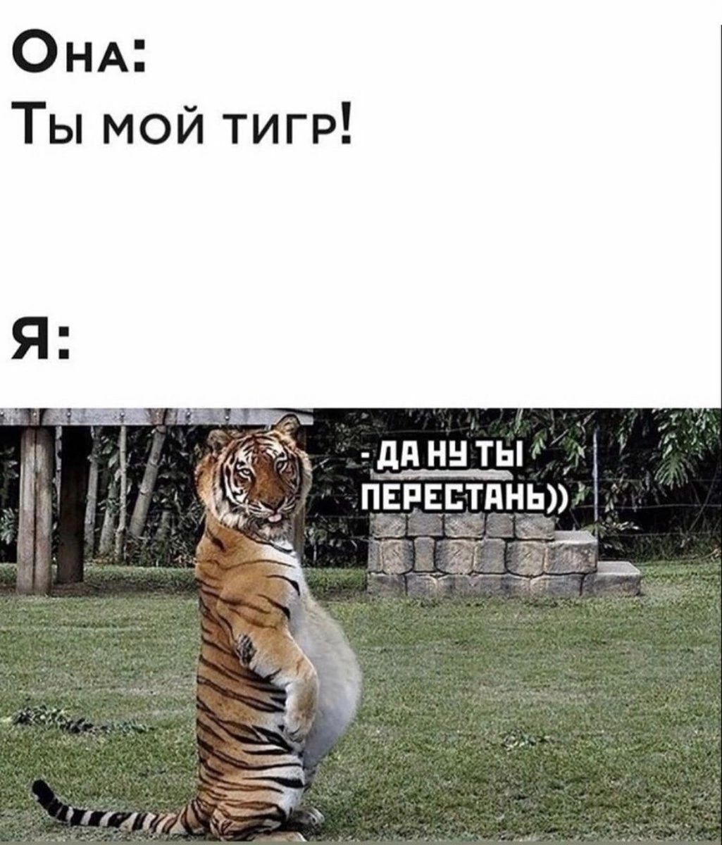 Она Ты мой тигР ДА НУ ТЫ ПЕРЕСТАНЬ ТТг