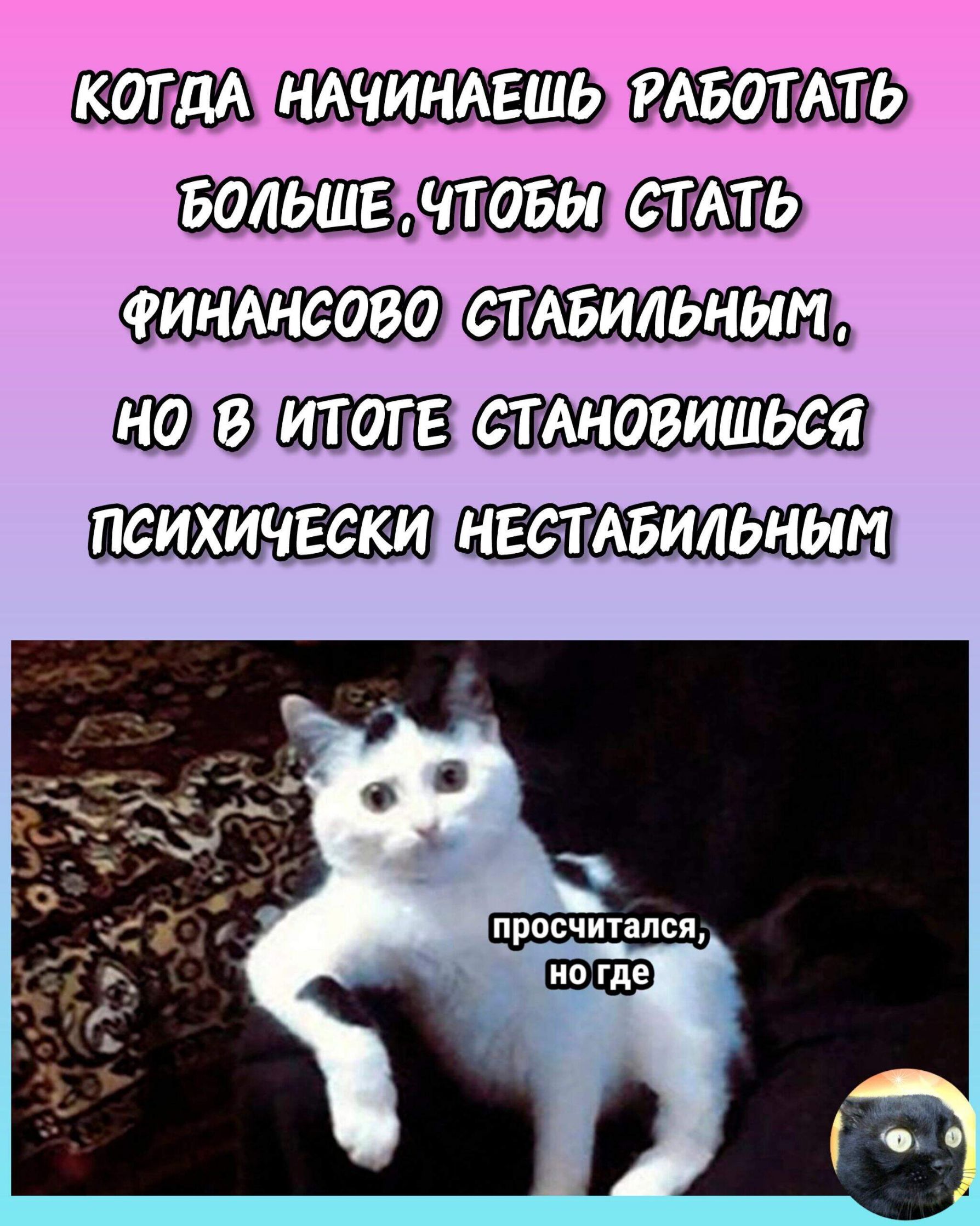 КОТДАТНАЧИНАЕШЬЛРАБОТАТЬ БОЛЬШЕЙНТОБЫКСТАТЬ ФИНАНСОВОДСТАБИЛЬНЫМя НОДВДИТОТЕТСТАНОВИШЬСЯ ПСИХИЧЕСКИ НЕСТАБИЛЬНЫМ