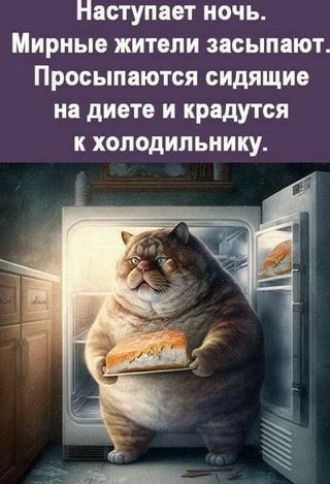 паступает ночь Мирньпе жители засыпают Просыпаются сидящие на диете и крадутся к холодильнику