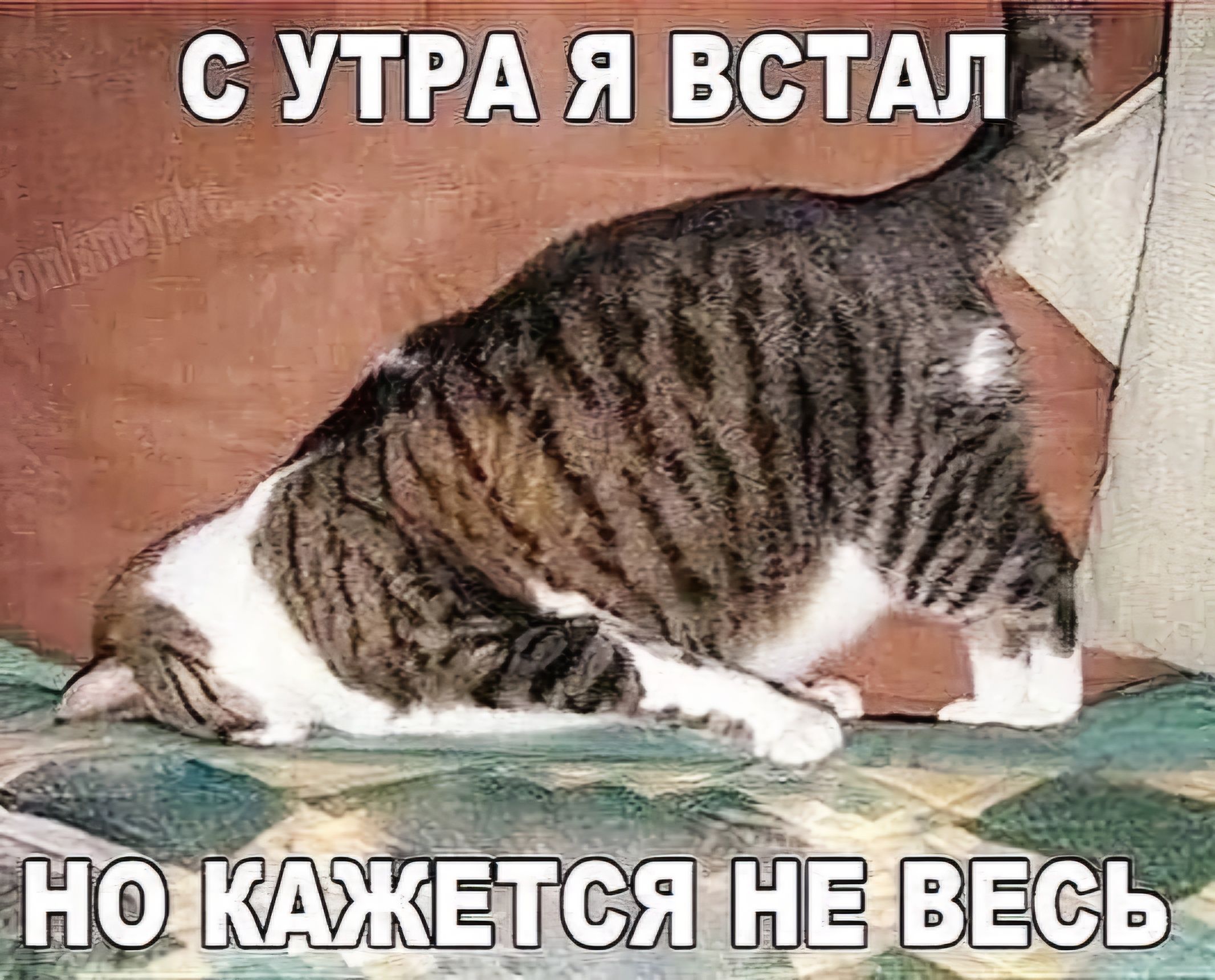 С УТРА Я ВСТАЛ