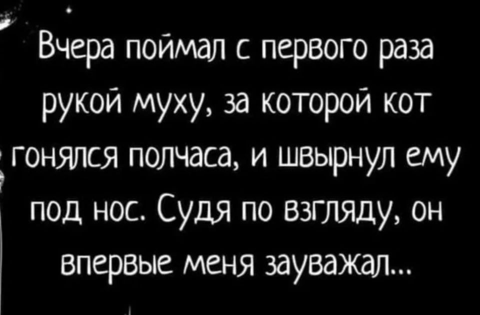 Вчера поймал с первого раза рукой муху за которой кот гонялся полчаса и швырнул ему под нос Судя по взгляду он впервые меня зауважал