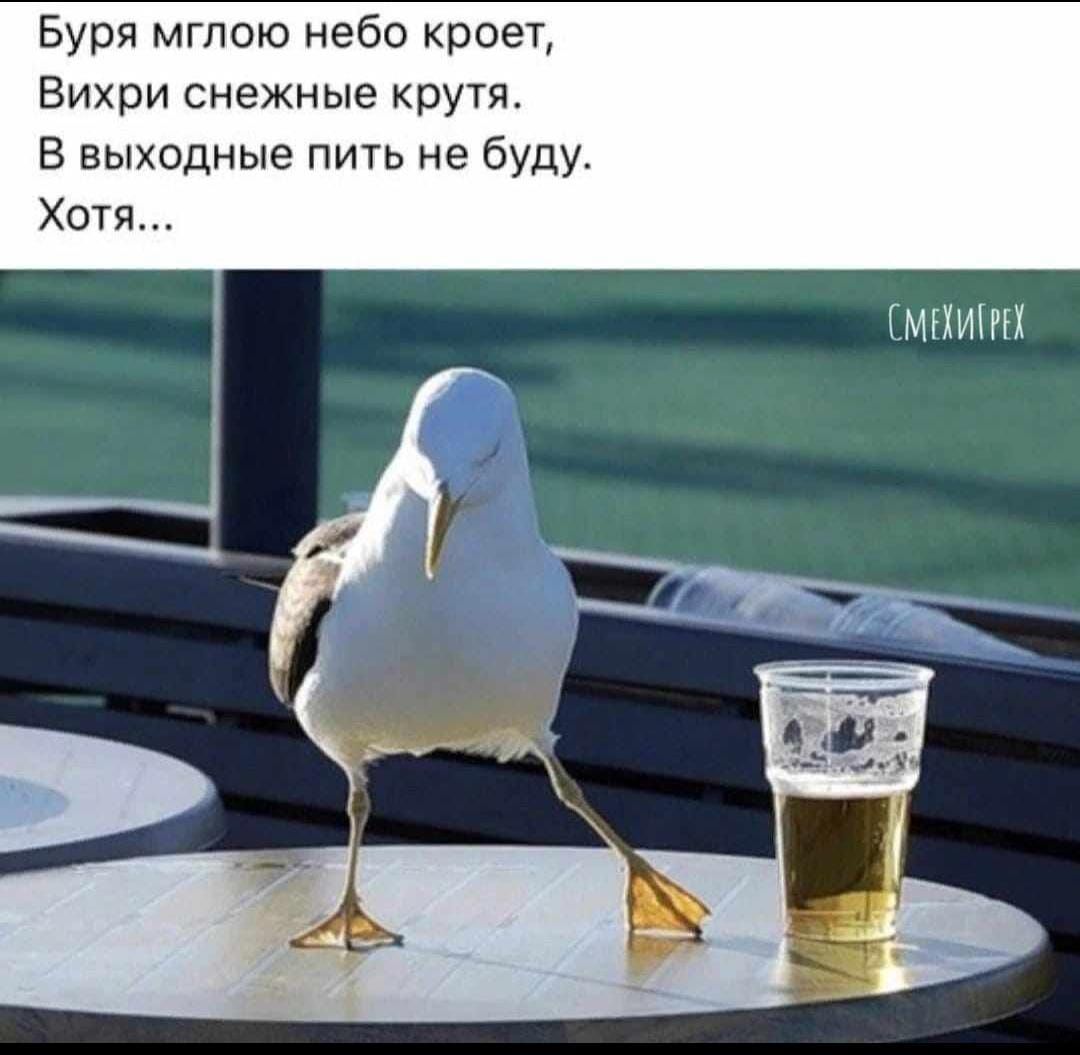 Буря мглою небо кроет Вихри снежные крутя В выходные пить не буду Хотя СМЕТИТРЕК