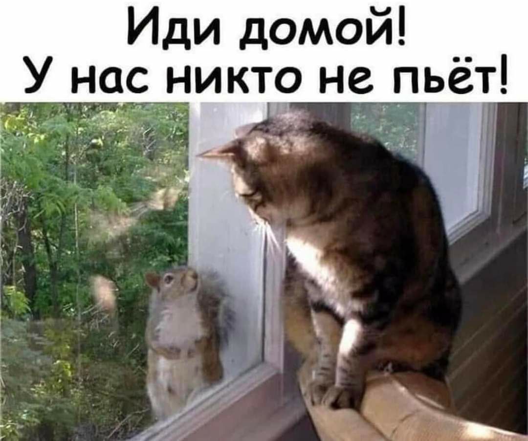 Иди домой У нас никто не пьет
