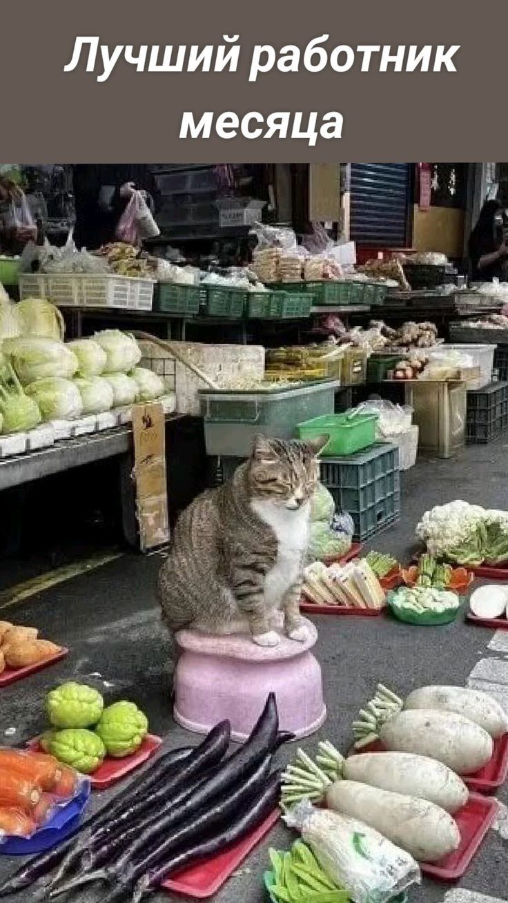работник Лучший
