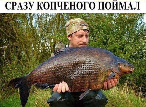 СРАЗУ КОПЧЕНО