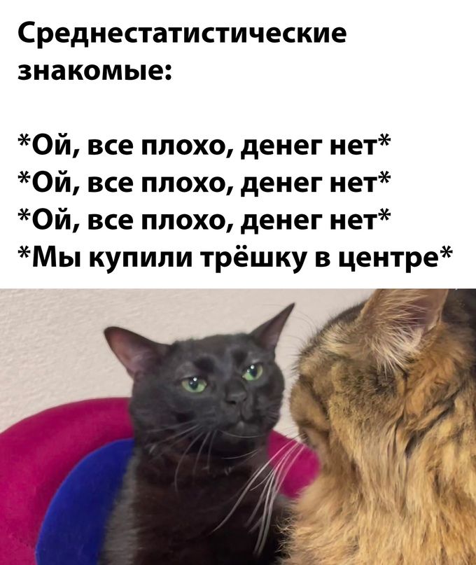 Среднестатистические знакомые Ой все плохо денег нет Ой все плохо денег нет Ой все плохо денег нет Мы купили трёшку в центре