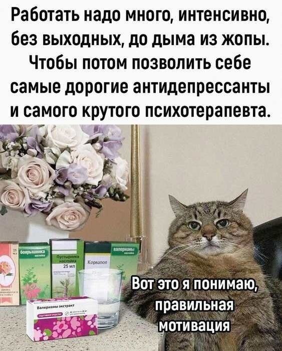 Работать надо много интенсивно без выходных до дыма из жопы Чтобы потом позволить себе самые дорогие антидепрессанты и самого крутого психотерапевта рЁЕ т это я понимаю правильная мотивация