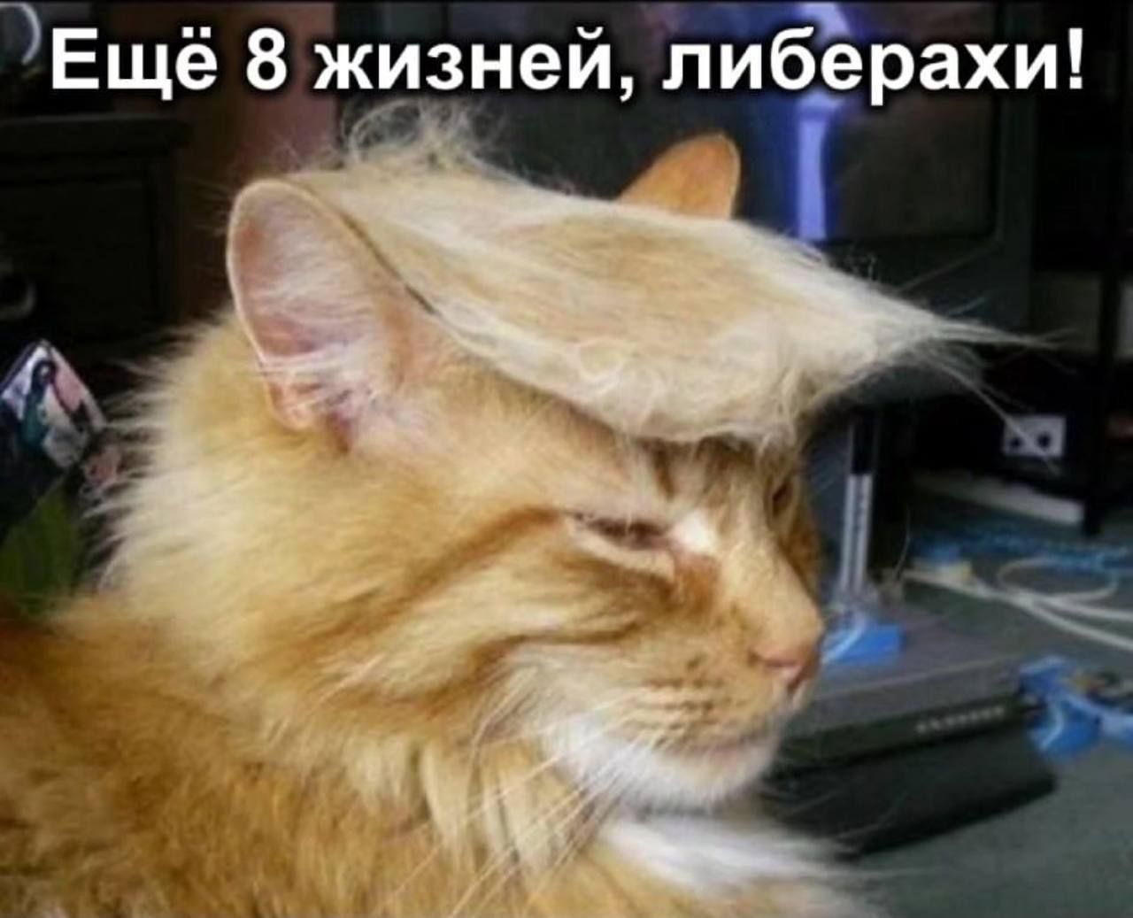 ЗЕщё 8 жизней либерахи
