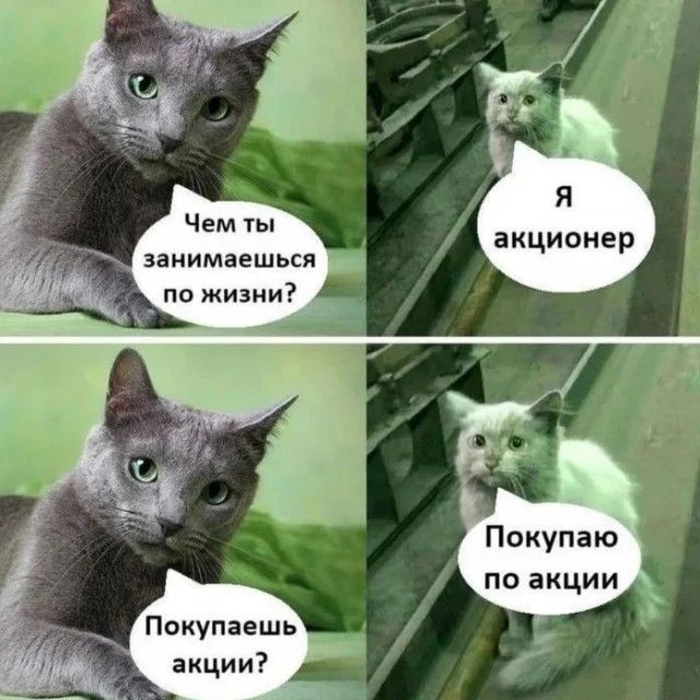 Чем ты занимаешься по жизни акционер Покупаю по акции Покупаешь акции